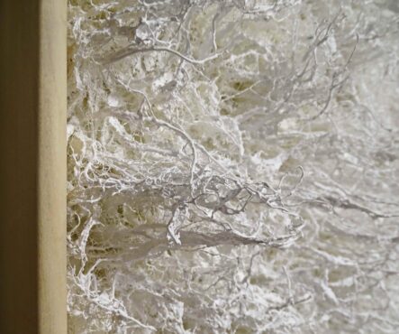 Photo Sprouts 4